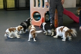 Ckcs Meetup 021608 066